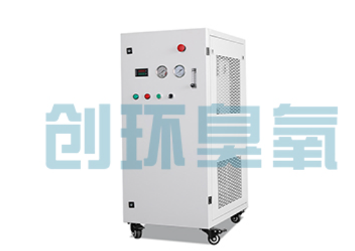 襄阳石斑鱼养殖水质调控完整指南：臭氧发生器配置与操作步骤