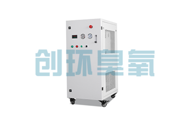 襄阳比传统换水更高效？臭氧发生器在石斑鱼养殖中的水质净化原理解析
